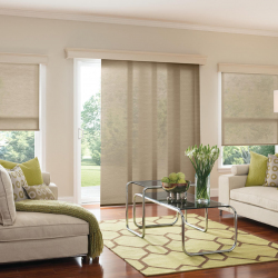Screen Shades in Living Room