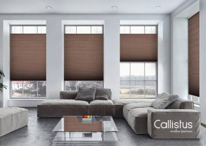 colby blinds with brown color from Callistus Blinds